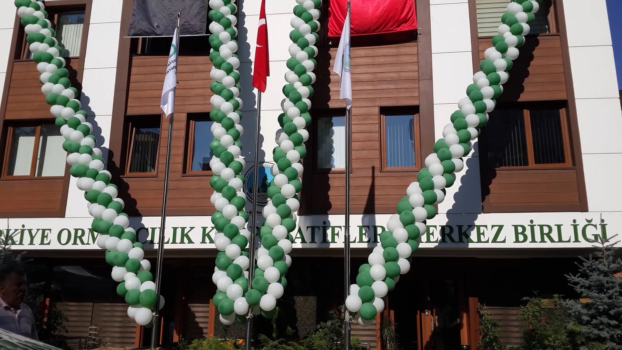 Ankara nişan altın balon perde backdrop